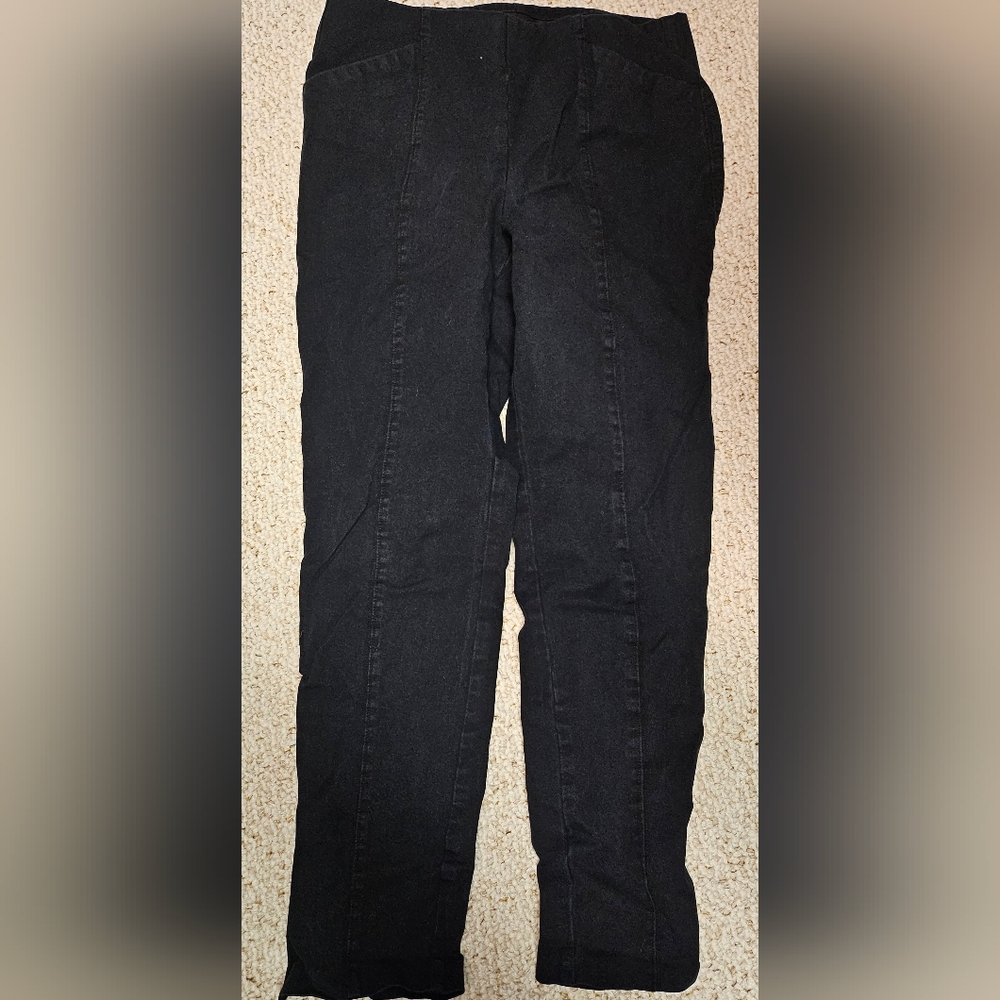 ☆NWOT☆  Old Navy  •  Skinny Pixie Pull-On Pant with Zip Ankle, Size M